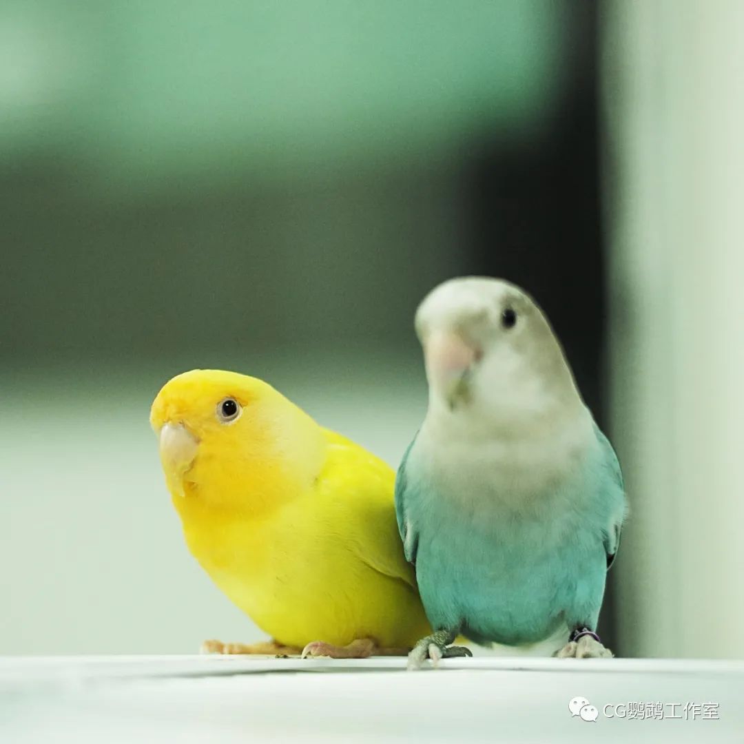 1650447113427633.jpg 图片 (2).jpg